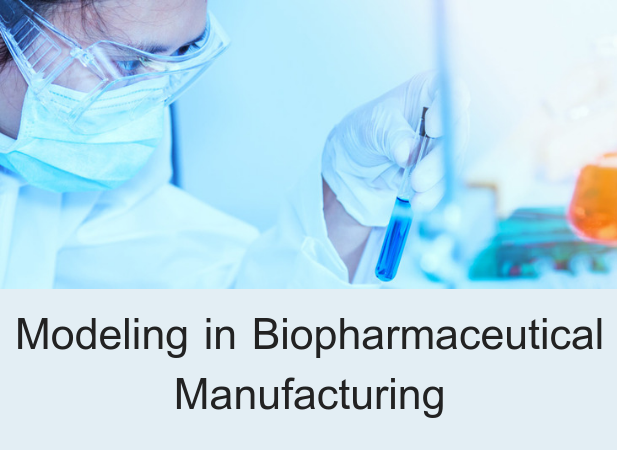 Modeling in Biopharmaceutical Manufacturing